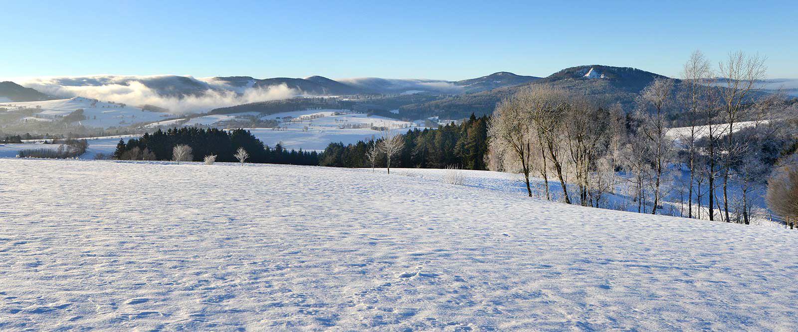Winter bei Gersfeld
